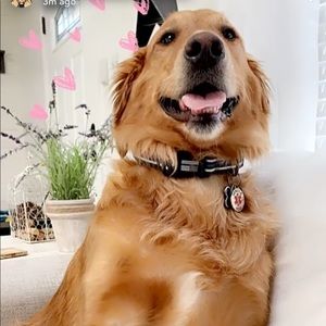 Meet your Posher, Destiny